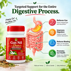 Gas Nil Churn - 100 GMS