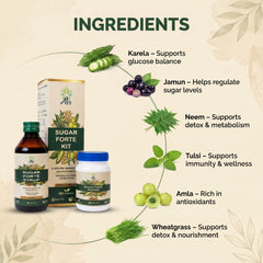 Sugar Forte Kit - Sugar Forte Syrup (200 ML) & Sugar Forte Powder (80 GM)